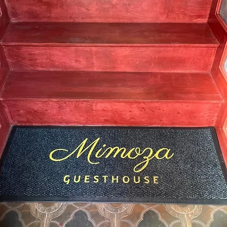 Ξενοδοχείο Mimoza 3*