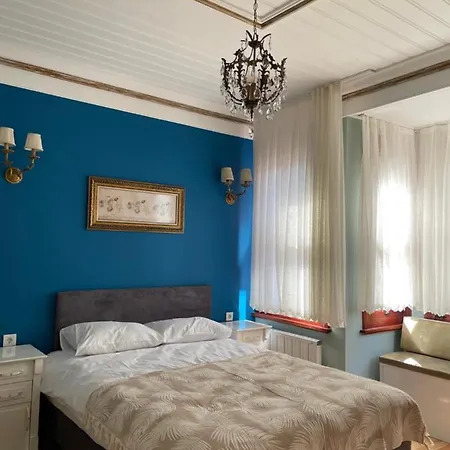Mimoza 3*